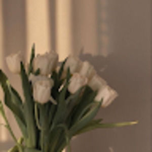 Meet your Posher, Ariana